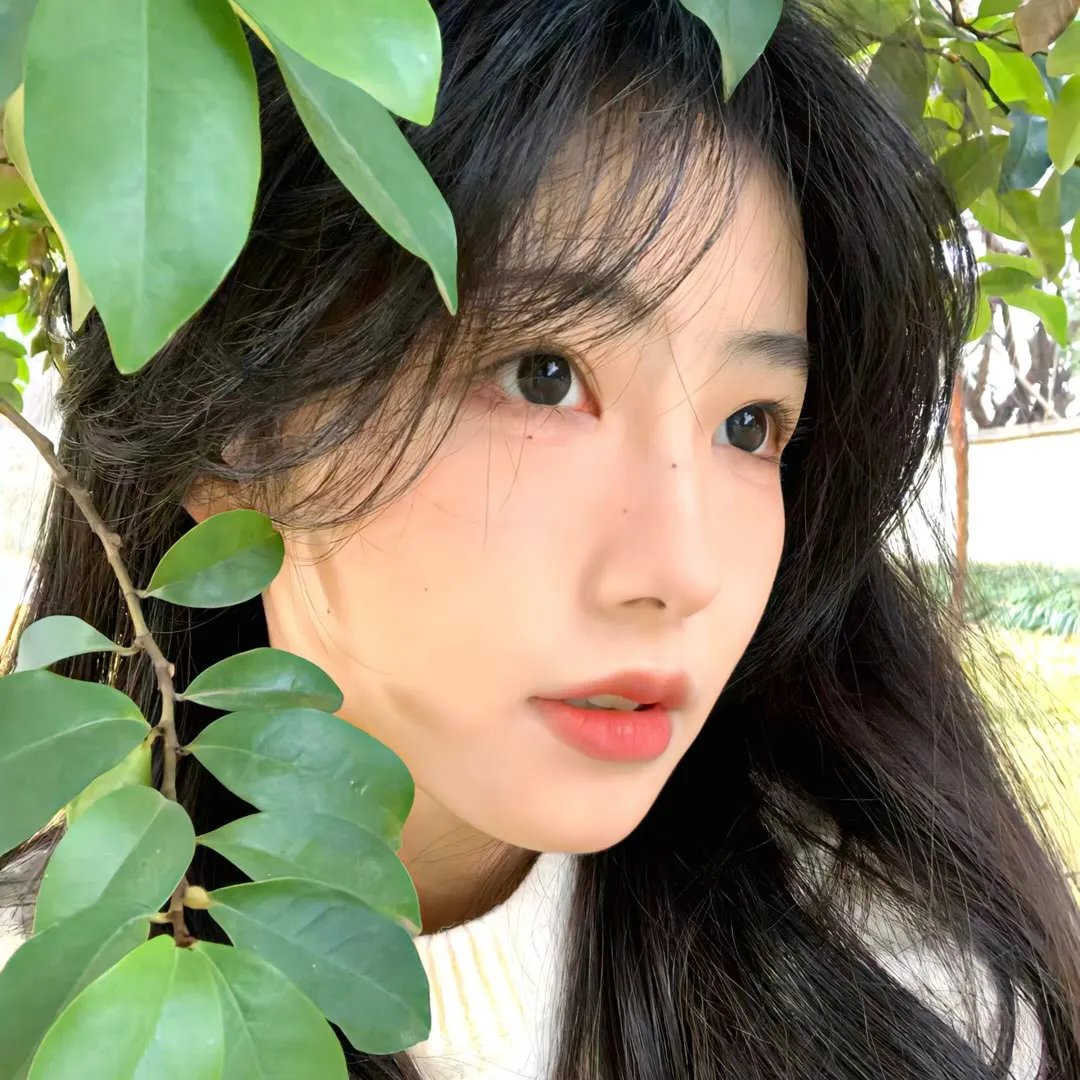 租来的朋友